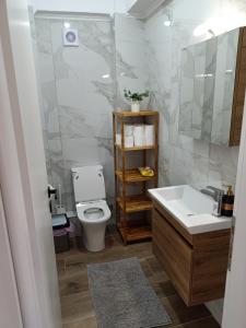 a bathroom with a toilet and a sink and a mirror at Paparoúna 5 min from beach in Nikiti +29 photos