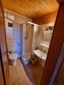 een badkamer met een douche, een toilet en een wastafel bij Gasthof Kirchenwirt in Gnesau