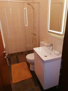 a bathroom with a toilet and a sink and a shower at Cathedral Apartments in Kaunas
