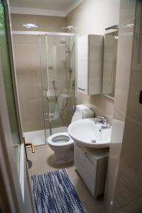 uma casa de banho com um chuveiro, um WC e um lavatório. em Casa Rudy em Bolzano