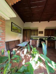 a living room with a table and some plants at Casa del viajero colonial in Antigua Guatemala
