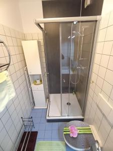 a shower with a glass door in a bathroom at City Apartmentstudio mit Tiefgarage free parking in Graz