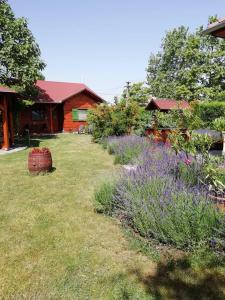 un jardín con flores púrpuras frente a una casa en Faház, en Tiszaszőlős