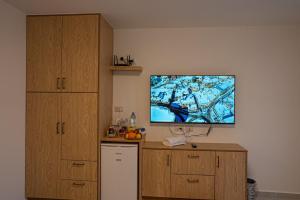 TV a/nebo společenská místnost v ubytování סוויטות לב הגולן - Golan center suite