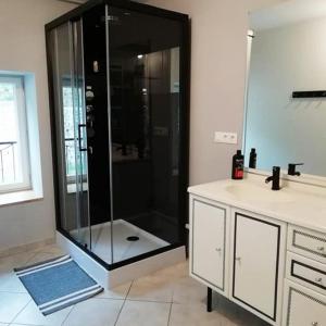 uma casa de banho com um chuveiro e um lavatório. em Auberge du pèlerin em Saint-Vincent