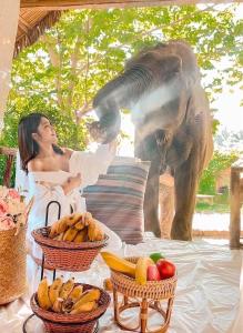 a woman sitting on a table with baskets of fruit and an elephant at 3 Pok Maewang jinxiang Gold elephant park in Ban Mae Sapok Noi
