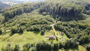 an aerial view of a house on a hill with trees at Cabana Trei Brazi Cacica in Cacica