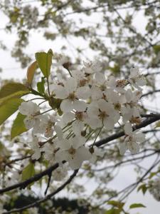 Ảnh trong thư viện ảnh của Vila Coka ở Nova Varoš