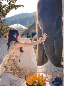 Fotografie z fotogalerie ubytování 3 Pok Maewang jinxiang Gold elephant park v destinaci Ban Mae Sapok Noi