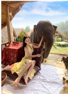 Fotografie z fotogalerie ubytování 3 Pok Maewang jinxiang Gold elephant park v destinaci Ban Mae Sapok Noi