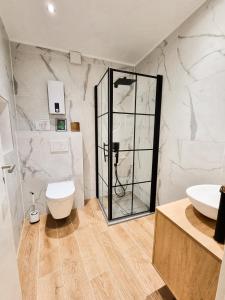a bathroom with a shower and a toilet and a sink at Holiday Home Sofia La vie est belle in Bollendorf