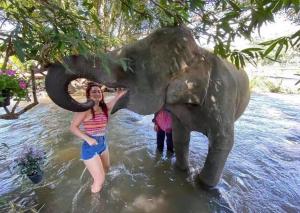 3 Pok Maewang jinxiang في Ban Mae Sapok Noi: امرأة تقف بجانب فيل في الماء