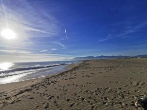 a beach with footprints in the sand and the ocean at Appartement Vue Mer 208 in Canet-en-Roussillon