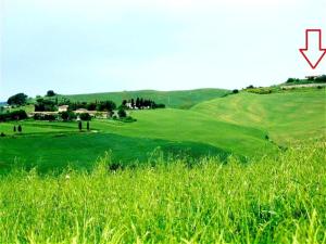 a view of a golf course with a green field at LaCollinaTuscany between San Gimignano and Volterra in Volterra