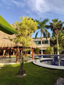 a resort with palm trees and a building at Quinta Punta Sam in Cancún