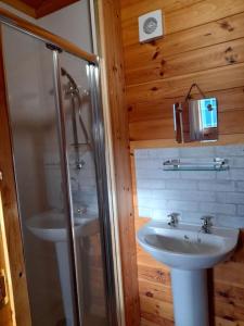 Bilik mandi di Delightful Studio Log Cabin , with Sauna