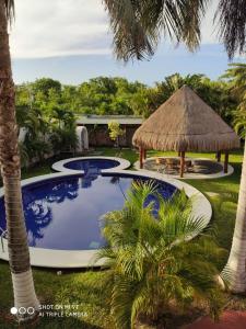 a large swimming pool with a straw umbrella and palm trees at Quinta Punta Sam in Cancún