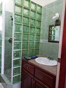 a green tiled bathroom with a sink and a shower at The Sands Inn-Upper Floor with pool in Caye Caulker