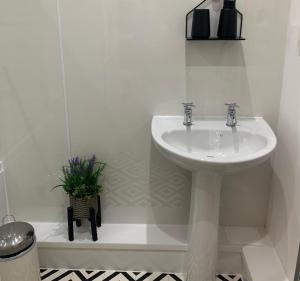 La salle de bains blanche est pourvue d'un lavabo et d'une baignoire avec une plante. dans l'établissement Seawards 2 bedroomed Seafront Filey, à Filey