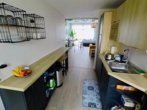 una cucina con lavandino e bancone con frutta di Charming & cosy rooms Nantes (chambres chez l'habitant) a Nantes