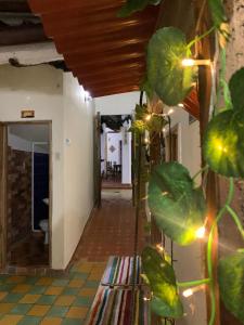 Fotografie z fotogalerie ubytování Hotel Casa Solárium Posada v destinaci Socorro