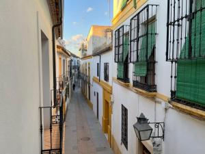 un callejón en un casco antiguo con edificios en La Casa de La Escalera, en Córdoba