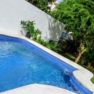 Swimming pool sa o malapit sa El Conde del Macao