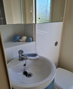 a bathroom with a white sink and a mirror at Beautiful 2 bedroom caravan, holiday park Tenby in Pembrokeshire