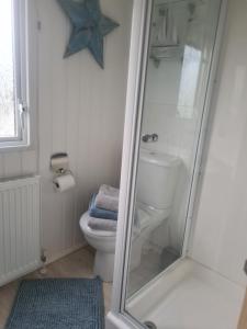 ein Bad mit einer Dusche und einem WC in der Unterkunft Beautiful 2 bedroom caravan, holiday park Tenby in Pembrokeshire