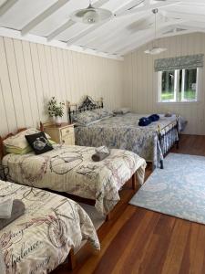 een slaapkamer met 3 bedden en een blauw tapijt bij Timber Trail Farmstay in Ongarue