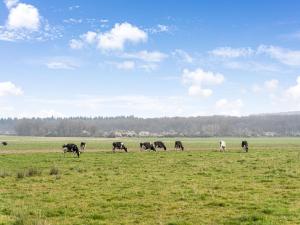 Altri animali domestici presso la casa vacanze o nei dintorni