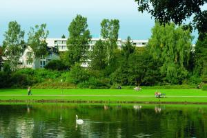 a swan swimming in a lake in a park at Maritim Hotel Bad Salzuflen in Bad Salzuflen