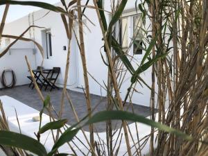 Fotografie z fotogalerie ubytování Giannisasi Mykonos Apartment ve městě Mykonosu