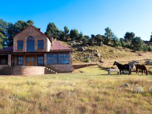 three horses standing in a field in front of a house at Angel's Rest in Dullstroom