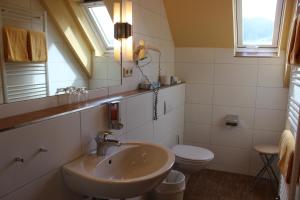 a bathroom with a sink and a toilet at Landgasthof zum Schützen in Oberried +59 photos