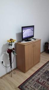 a television on a wooden cabinet with a vase of flowers at APARTMAN MILICA in Požarevac