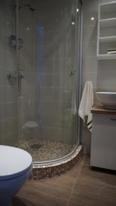 y baño con ducha, aseo y lavamanos. en Central Apartament, en Klaipėda