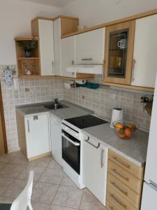Kuchnia lub aneks kuchenny w obiekcie Apartment Zoanda