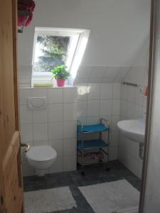 a bathroom with a toilet and a sink and a window at Dorotheenhof in Sankt Peter-Ording