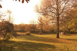 einen Park mit einem Baum inmitten eines Feldes in der Unterkunft Dorotheenhof in Sankt Peter-Ording