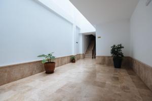 Zdjęcie z galerii obiektu Magno Apartments Paseo de la O - Private Parking included w Sewilli