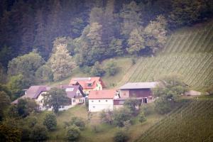 Príroda v okolí apartmánu