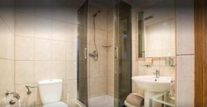 een badkamer met een douche, een toilet en een wastafel bij Willa Arkadia in Zakopane