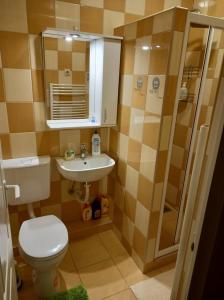 Koupelna v ubytování Zenit Apartman