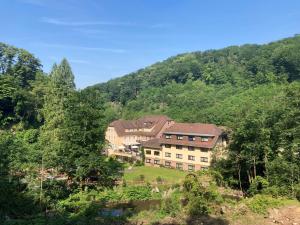 a large house in the middle of a mountain at Fuchs'sche Mühle in Weinheim