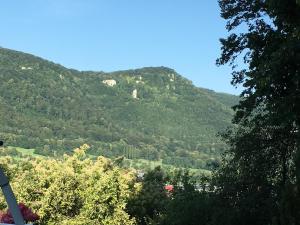 een uitzicht op een berg met bomen op de voorgrond bij Haus Am Sonnenhügel in Bad Urach