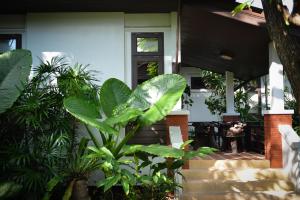 a dog sitting on the porch of a house with plants at Phangan Bayshore Resort Koh Phangan in Haad Rin