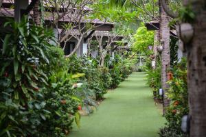 a garden filled with lots of plants and trees at Phangan Bayshore Resort Koh Phangan - SHA Plus in Haad Rin