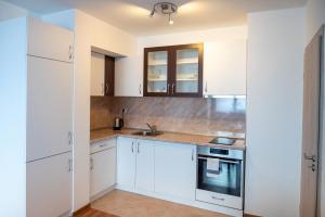 A kitchen or kitchenette at Sunny 1BDR Apartment near Center
