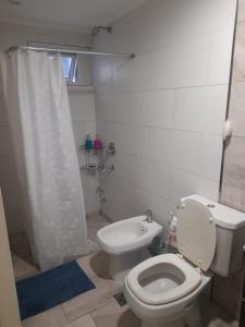 a white bathroom with a toilet and a shower at Hermosa casa con patio, parrilla y garage cerrado in Tandil